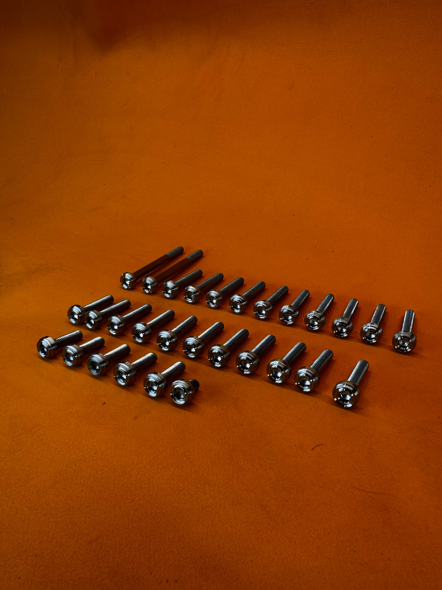RAIDER 150 CRANKCASE BOLTS