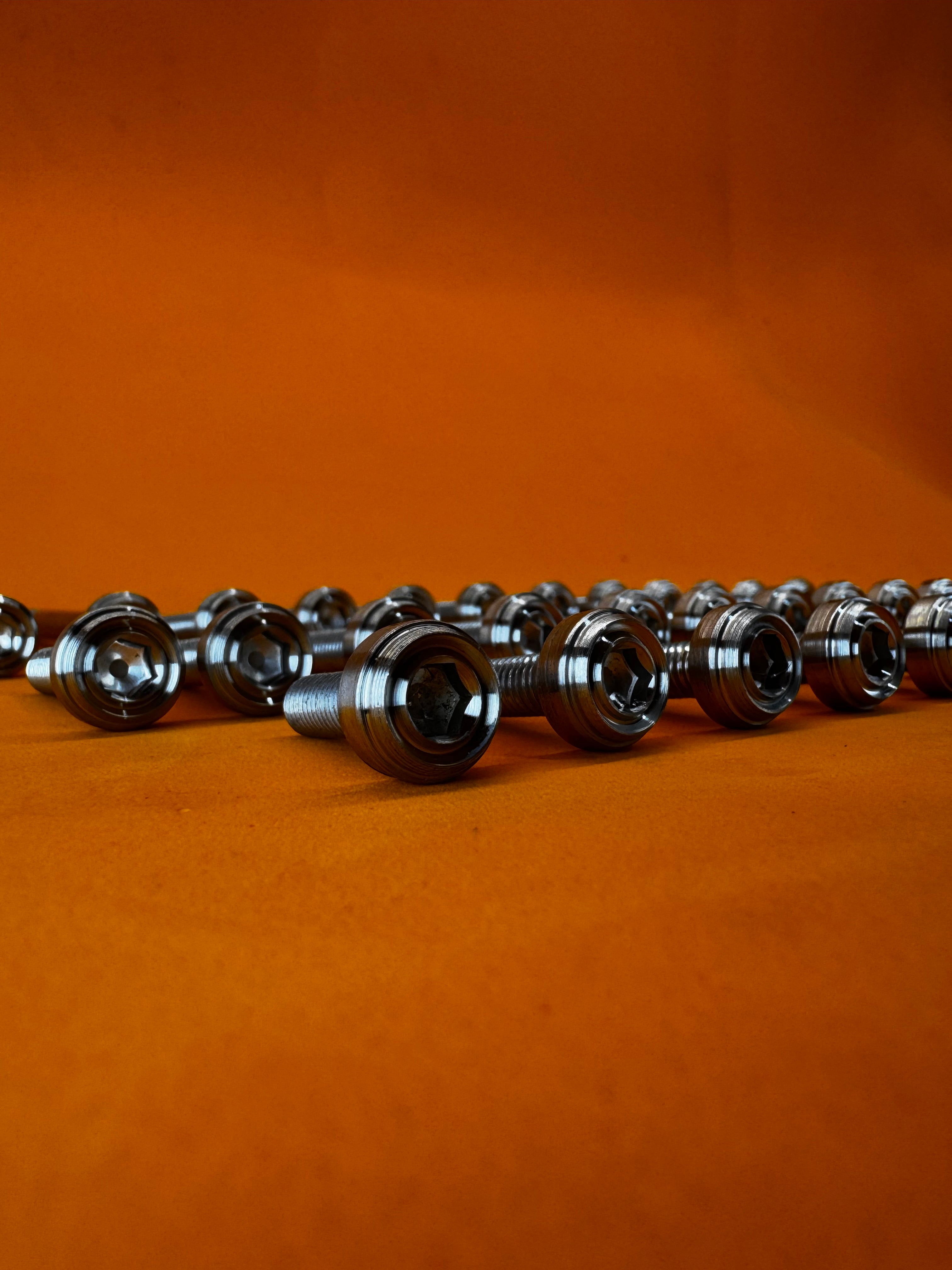 RAIDER 150 CRANKCASE BOLTS