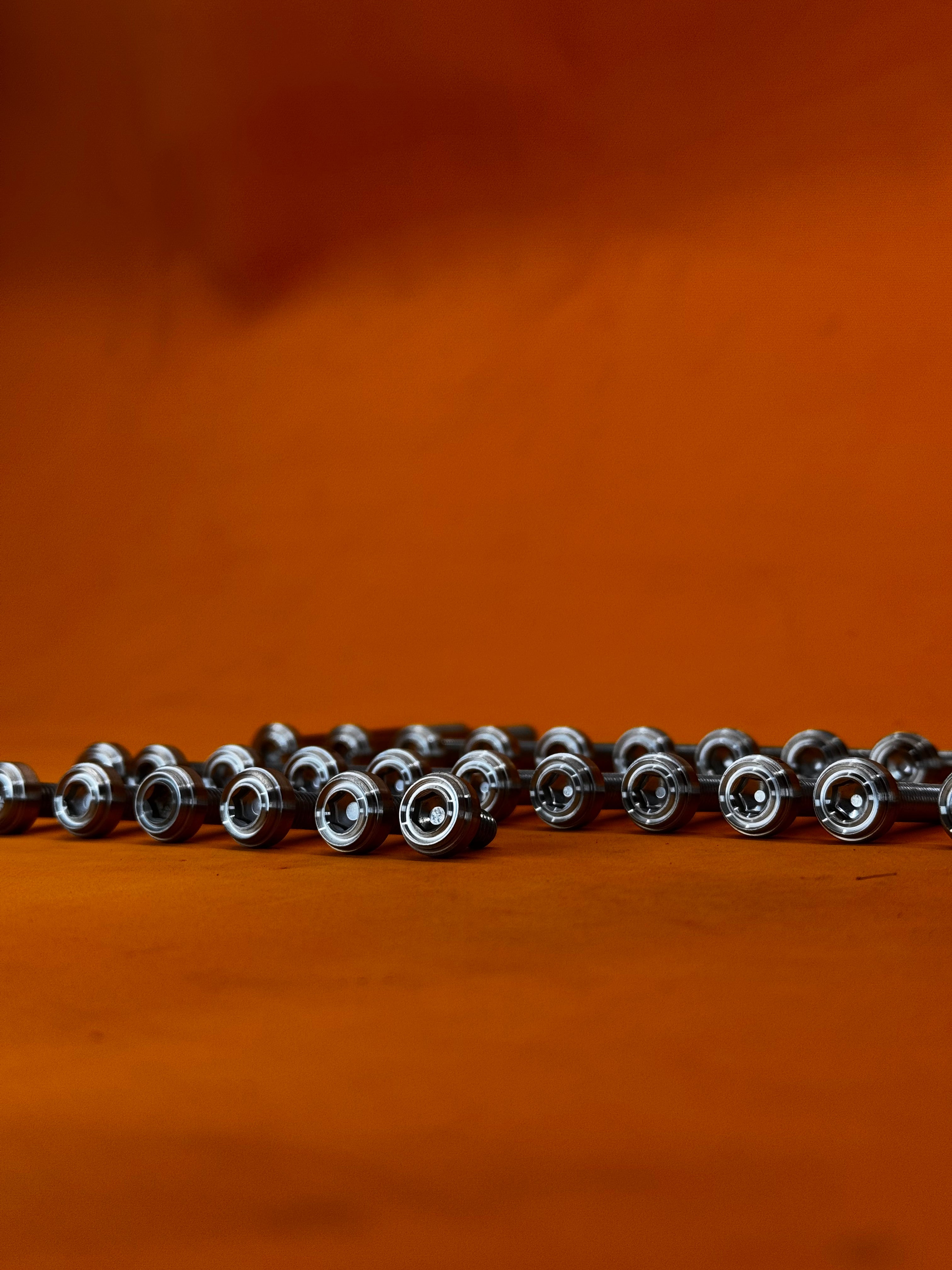 RAIDER 150 CRANKCASE BOLTS